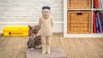 Kim Jong-un Cat Scratching Post