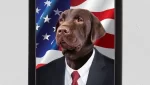 Personalized American Dog Portrait