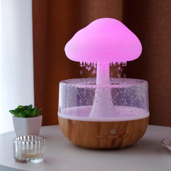 Rain Cloud Humidifier